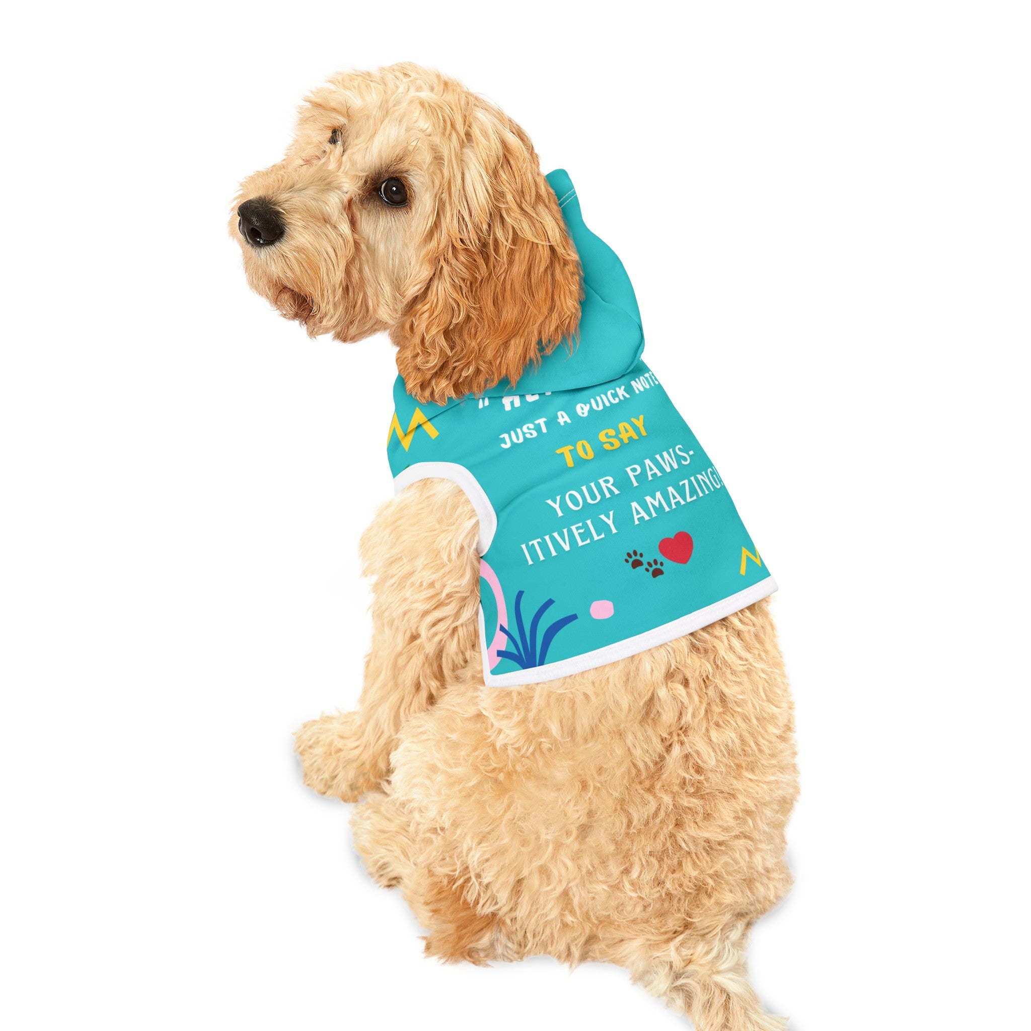 Pet Hoodie With Message