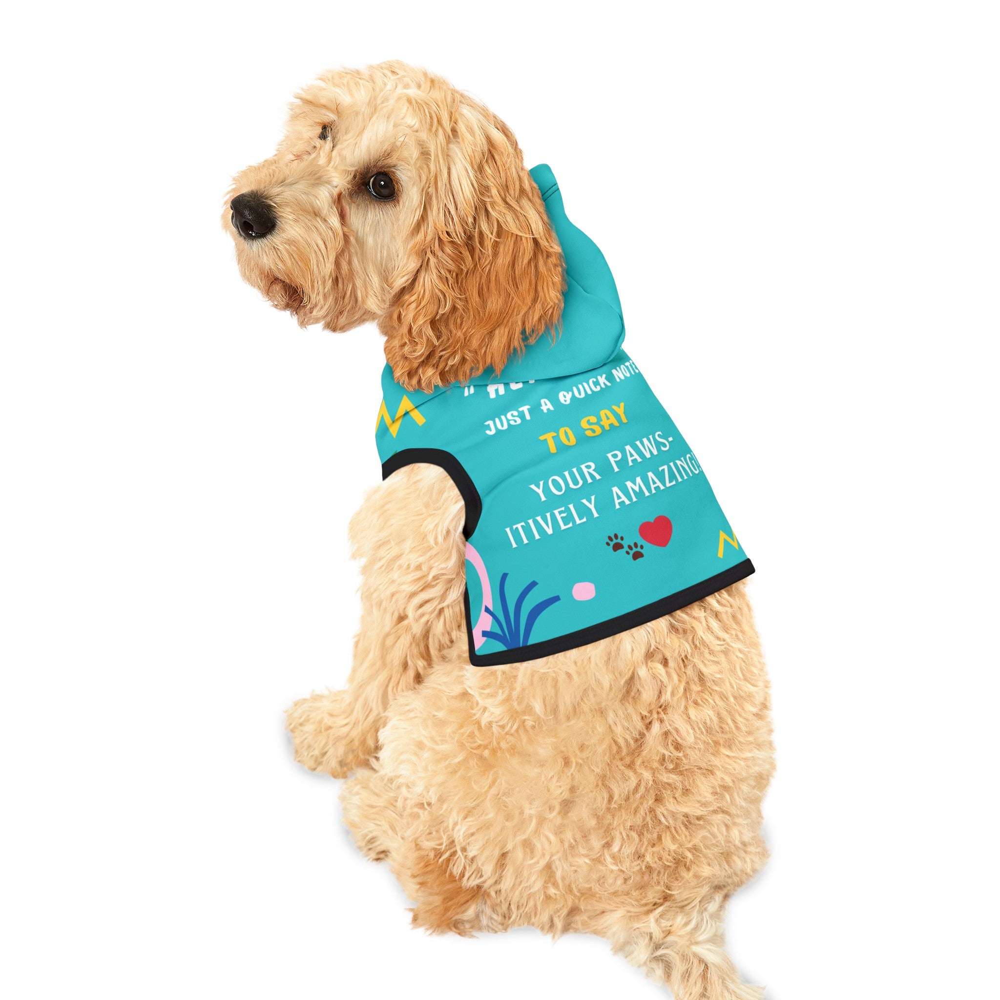 Pet Hoodie With Message